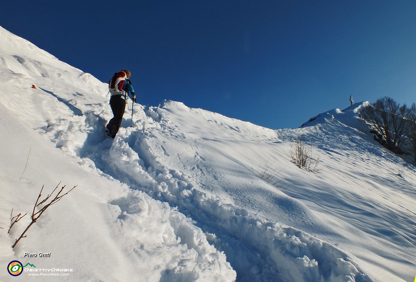 85 Salendo la cresta nord  del Cornizzolo.JPG